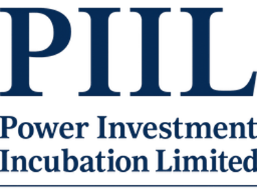 Power Investment Incubation Limited logo