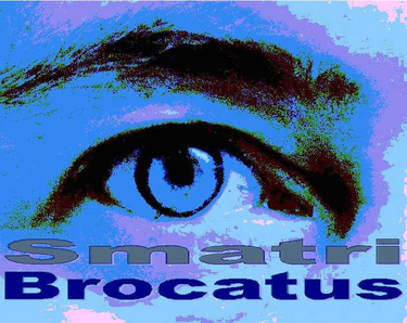 webdesign, goedkoop, website, 1002dots.com, Brocatus, Smatri, goedkope website, goedkope webdesign, webontwerpen, Nederlandse websites, Nederlandstalige website builder, Nederlandstalige websites voor België en Nederland, Website ontwerpen, website maken, goedkope betaalbare websites, www.1002dots.com, https://1002dots.com, websites voor bedrijven, professionele websites laten maken, goedkope professionele websites maken logo