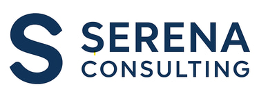Professional Website logo