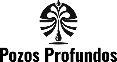Pozos Profundos Pichilemu logo