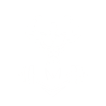 Do Zero ao Shape logo