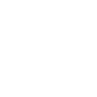 Bansuri Sadhana logo