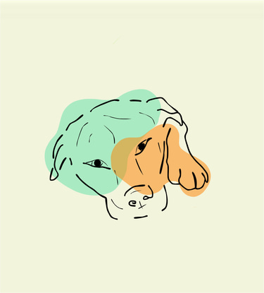 Animole logo