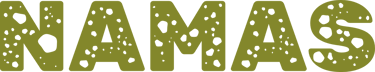 Namas Consulting Group logo