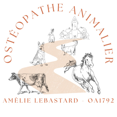 Amélie LEBASTARD - Ostéopathe animalier logo