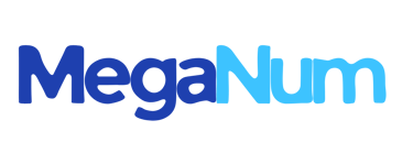 Mega Num logo