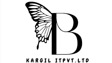KARGIL IT SOFTTECH PRIVATE LIMITED logo