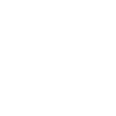 Espaço MG4 logo