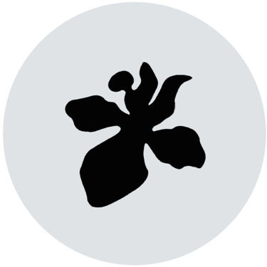 ROMERO SALVAJE logo