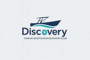 Tamarindo Tours Discovery logo