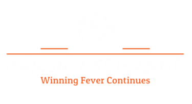 BANSAL EXCHANGE logo