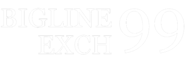 bigline99 logo