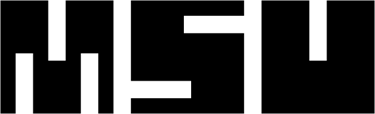 Muhammad Saleem Ullah logo
