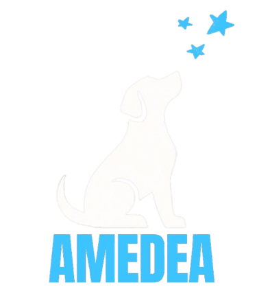 Asociación Méxicana por los Derechos Animales logo