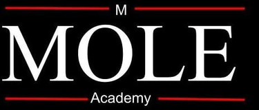 Mole academy logo