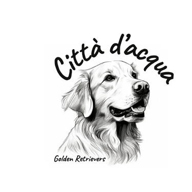 città d'acqua logo