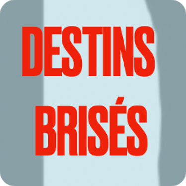 Association Destins Brisés logo