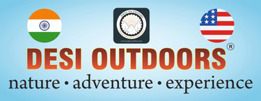 Desi Outdoors logo