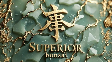 Superior Bonsai logo