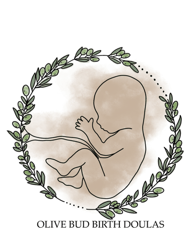 Olive Bud Birth Doulas logo