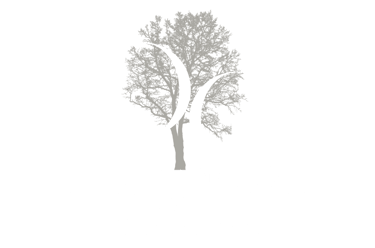 Multiagencja Ubezpieczeniowa Dorota Grabowska logo