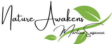 Martina Galvan logo