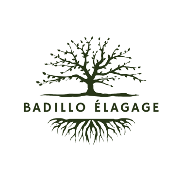 Badillo Elagage logo