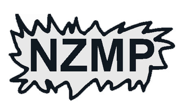 NZ Music Posters, The Largest collection of original gig posters cira 1990's, Flying Nun and many Local bands logo