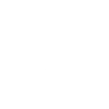 Eagleview Restoration logo
