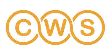 Cheap Web SG logo