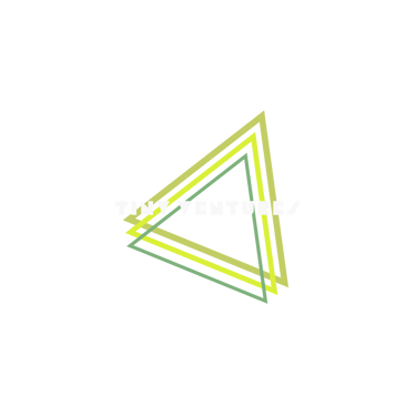 Tiny Ventures logo