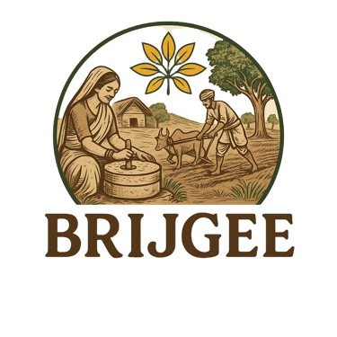 Brijgee Ayurvedic — Ancient Wisdom for Modern Wellness logo
