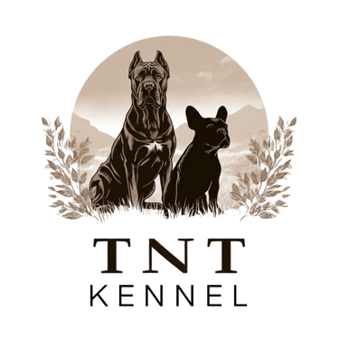 TNTKennel logo