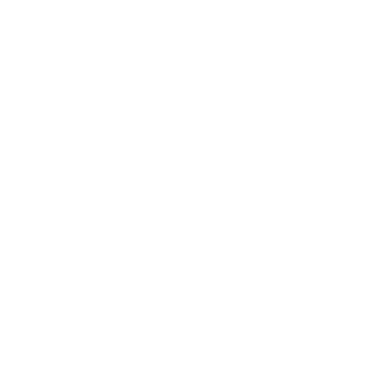 Mayhemracers.lt logo