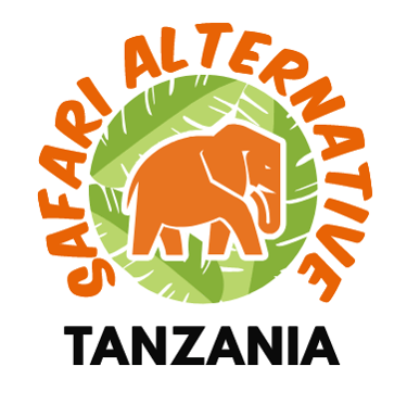 Kilimanjaro Group Climb Adventures | Kilimanjaro Group Trekking Tours by Local Guides logo