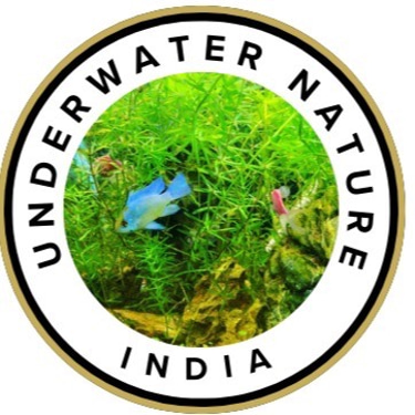 Under Water Nature India logo