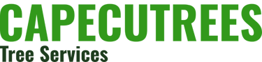 Tree Felling Services logo