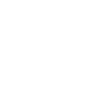 Yasir Alani logo