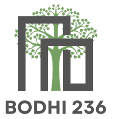 Bodhi236 logo