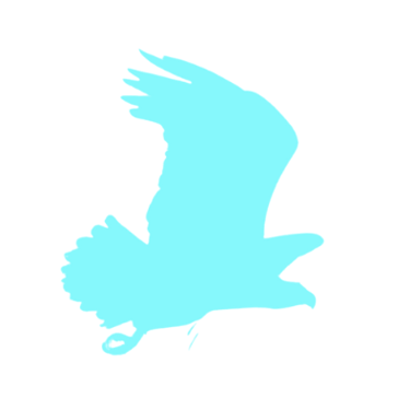 Eagle Spirit Nutrition & Health, LLC logo