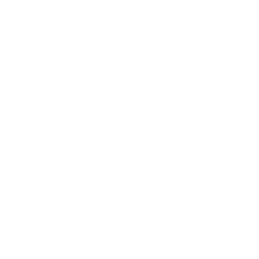 SHZAH logo