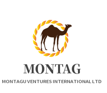 MONTAGU VENTURES INTERNATIONAL LTD logo