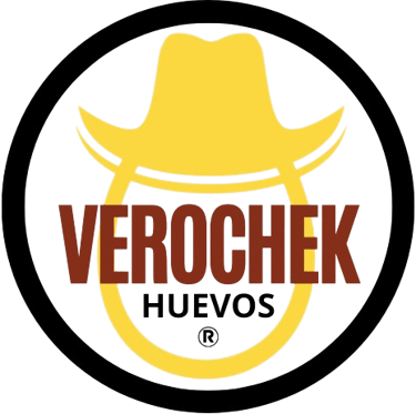 VEROCHEK logo