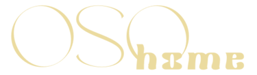 AMBRACE logo