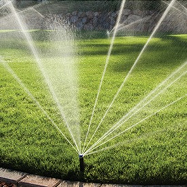 Arrosage Automatique Di foggia logo