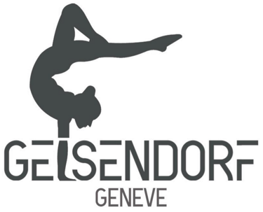 FSG GEISENDORF GENEVE - CLUB DE GYMNASTIQUE logo