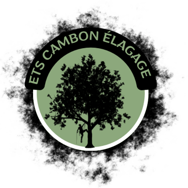 ETS THOMAS CAMBON logo