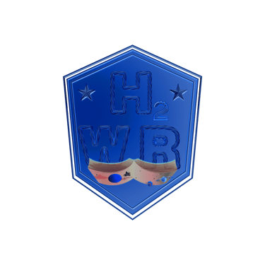 H2WR 6G超高速无线革命 logo