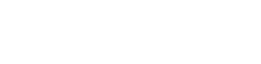 Sanev logo