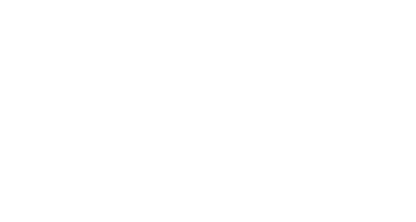 Force X logo